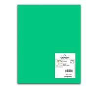 Cartulina CANSON Iris Vivaldi Din-A4 185 gr. Verde Manzana, Pack x50