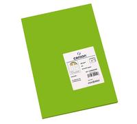 Cartulina guarro din a3 verde billar 185 gr paquete 50 hojas