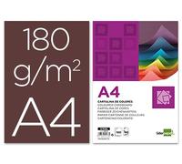 Cartulina liderpapel a4 180g/m2 marron paquete de 100 hojas - CT18