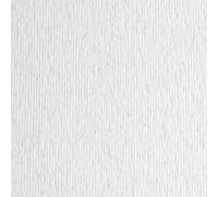 Cartulina Sadipal LR 220 Gris claro Texturizada 50 x 70 cm (20 Unidades)