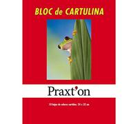 Cartulinas PRAXTON, Bloc x10 Hojas Surtidas
