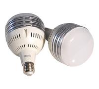 Caruba Bombilla 60W Todo en 1 juego de luces (Softbox / LED)