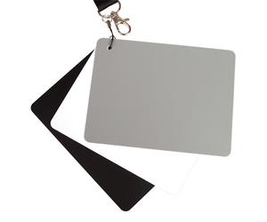 Caruba DGC-1 Tarjeta Digital Gris