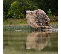 Caruba Red de juncos de camuflaje