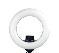 Caruba Ring light Vlogger 12 pulgadas LED set con bolsa rosa