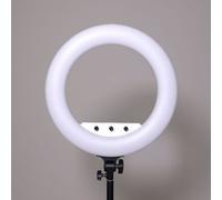 Caruba Vlogger 18 pulgadas RGB LED set con bolsa blanco