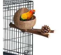 Casa Para Pájaros De Coco - Concha Natural 12cm | De Loros Con Ramas De Perca Y Trozos De Coco | Decoración De Jaula De Pájaros Para Patio De Verano Con Cono De Pino Y Campana Para Uso En Juegos