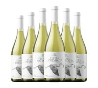 Casa Primicia Flor Blanco Barrica Chardonnay Rioja 75 cl Vino blanco (Caja de 6 Botellas de 75 cl)