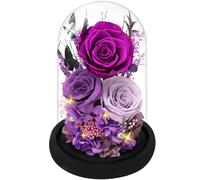 Casaido Rosas preservadas para entrega, regalos de rosas para el día de la madre para mamá, flores moradas para siempre en cúpula de cristal para esposa, novia, abuela, regalo de cumpleaños de