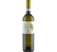CasalFarneto Verdicchio dei Castelli di Jesi Diego 2022