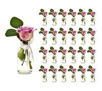 Casavetro 24 x pequeños jarrones Botellas de Cristal C-Deko-TR-Cuello Ancho Incluido Lazo rústico Vintage jarrón de Cristal Transparente Mini de Leche de decoración, Vidrio 24 Stück Weiss