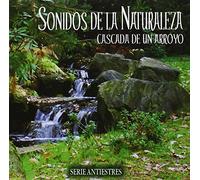 Cascada de un Arroyo