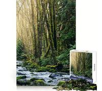 Cascada en Port Alberni Rompecabezas de 1000 Piezas para Adolescentes Pensamiento Claro Interacción fluida Encaje Firme Un Bonito Regalo (50x75cm)