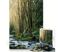 Cascada en Port Alberni Rompecabezas de 1000 Piezas para Adultos Ideal para Mejorar la Memoria, para una recreación Tranquila y un Regalo Memorable (38x52cm)
