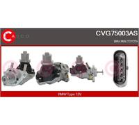 CASCO AGR-Ventil Eléctrico Para BMW X3 XDRIVE20D SDRIVE18D XDRIVEM40D 3ER