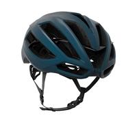 Casco de bicicleta Kask PROTONE ICON WG11 Capsule (Forest Green Matt)
