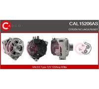 CASCO Generador 120A 12V para Fiat Scudo Combinato 1.9 D 2.1 Td