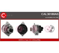 CASCO Generador De Luz 120A 12V Para Opel Zafira B 1.9 CDTi CAL30180AS