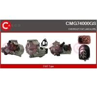 CASCO SRL Módulo AGR para FIAT: Aegea, 500, Tipo, Qubo, Fiorino & OPEL: Corsa & CHEVROLET: Aveo & LANCIA: Ypsilon (Ref: CMG74000GS)