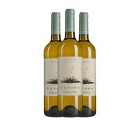 Caserío de Dueñas La Poda Albariño Rías Baixas 75 cl Vino blanco (Caja de 3 Botellas de 75 cl)