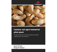 Cashew nut agro-industrial pilot plant: Conceptual engineering, basic engineering, detailed engineering for nut processing