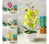 CashMuch Florero artificial de mariposa bonsái y orquídea para decoración del hogar y escritorio