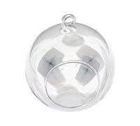CashMuch Jarrón colgante de vidrio de borosilicato para suculentas, terrarios y hormigas de interior con diseño de boca abierta, Tom plano y agujero para colgar, 8/10/12 cm