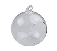 CashMuch Jarrón colgante de vidrio de borosilicato para suculentas, terrarios y hormigas de interior con diseño de boca abierta, Tom plano y agujero para colgar, 8/10/12 cm