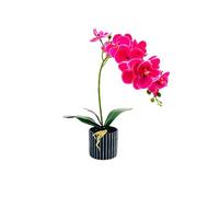 CashMuch Orquídea artificial bonsái, orquídea mariposa en maceta sintética en 35 x 20 cm para hogar, oficina, sala de estar, cocina (seda e Ic, aspecto rígido, mantenimiento)