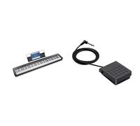 Casio CDP-S110 Black Digital Piano with SP-3 Sustain Pedal