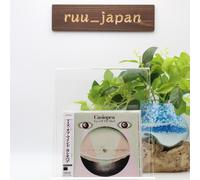 CASIOPEA OJOS DE LA MENTE ISSEI NORO JAPÓN CD NUEVO