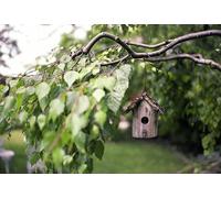 Casita de pájaros de Madera - Rompecabezas de Madera de 2000 Piezas - Manualidades, Regalos de Amistad, Ocio, Entretenimiento, decoración de Fiestas, 14 años+