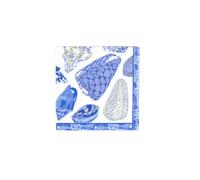 Caspari - Concha de cóctel (20 unidades), color azul