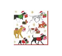 Caspari Entertaining with Servilletas de cóctel (20 Unidades), Color Blanco, Papel, 12.7 x 3 x 12.7 cm