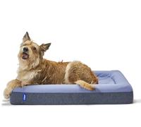 Casper Cama para Perro, Espuma viscoelástica de Felpa, pequeña, Color Azul
