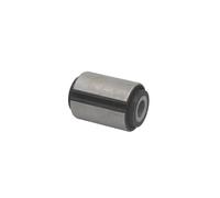Casquillo de cojinete, ballesta S-TR 120240