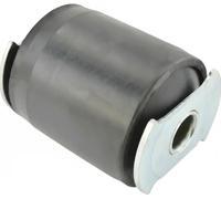 FEBEST Casquillo del cojinete, ballesta para PEUGEOT: Boxer & FIAT: Ducato (Ref: PGAB-BOX3RF)