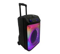 Cassa attiva trolley Majestic T55