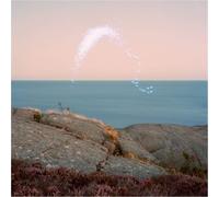 Cassandra Jenkins - An Overview On Phenomenal Nature [Vinilo]