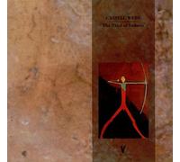 Cassell Webb - The Thief Of Sadness