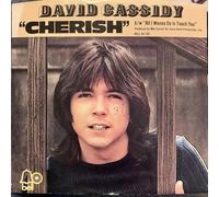 Cassidy, David - Cherish - All I wanna do is touch you
