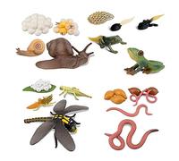 casstaly Ciclo de Vida de Rana Caracol Gusano de Tierra Libélula, Huevo Teta de Rana Safariología Anfibio Figuras Juguete Kit, Proyecto Escolar