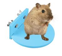 CASSTER Stand para Jaula, Cage Cage Estación - Accesorios de Hámster para Jaulas,Los Suministros de Hábitat Anti-Slip Son para El Centro de Actividad de Actividades de Juego para Mascotas Chinchilla