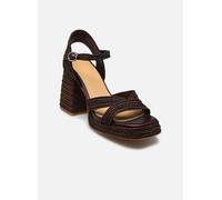 Castaner VALLE 40 Marrón