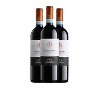 Castelbuono Ziggurat Rosso Montefalco 75 cl Vino tinto (Caja de 3 Botellas de 75 cl)