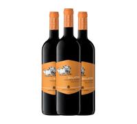 Castelli del Grevepesa Solatro Sangiovese Morellino di Scansano 75 cl Vino tinto (Caja de 3 Botellas de 75 cl)
