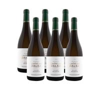 Castello d'Alba Reserva - Vino Blanco - Paquete de 6