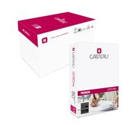 CASTERLI - 81500-5 Folios A4, 2500 Hojas Blancas. Tamaño A4, Papel de 80 gr, Extra blanca, Papel multiusos para impresora