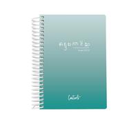 Casterli - Agenda Escolar Basic Edition Turquesa - Día Página, Tamaño A6-105 cms X 148 mm Turquesa