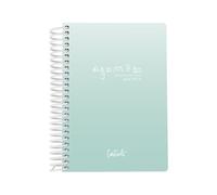 Casterli - Agenda Escolar Basic Edition Verde Claro - Día Página, Tamaño A6-105 cms X 148 mm